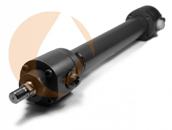ZYLINDER CDM1MP5/63/36/400A2X/B11CGUMWW